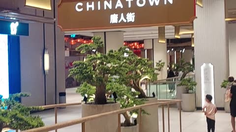 Chaina Town the dubai mall uae