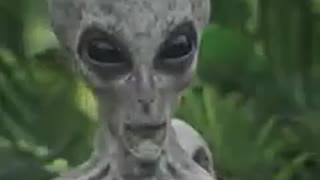 EXTRATERRESTRIAL APPEARS IN THE AMAZON JUNGLE WATCH THE VIDEO AND SHARE