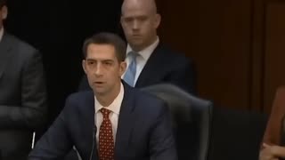 Cotton Warns Democrats of 'What Happens When We Take Back