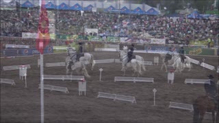 Horse show in Santiago