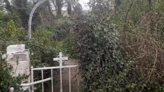 Hidden Church and holy well in Cork Ireland