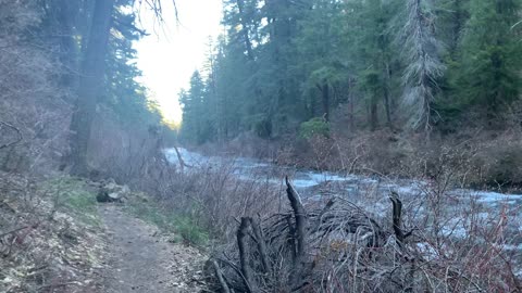 Early Morning Hiking of Metolius River – Central Oregon – 4K