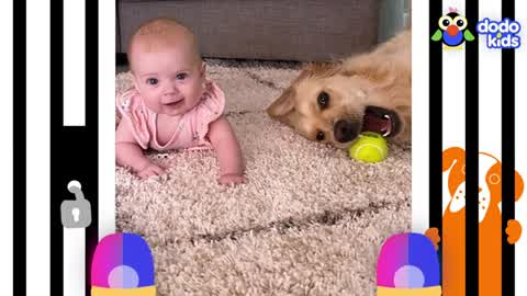 Can A Big Bad Dog Become the Best Big Brother - Animal Videos For Kids