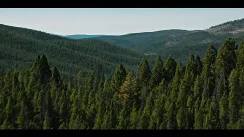 Yellowstone Trailer Season 4