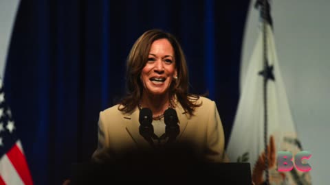 Trump blasts ‘lunatic’ Harris in first rally since Biden dropped out