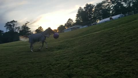 Playing at sunset,