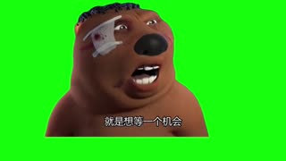 Chinese Beaver Meme | Green Screen