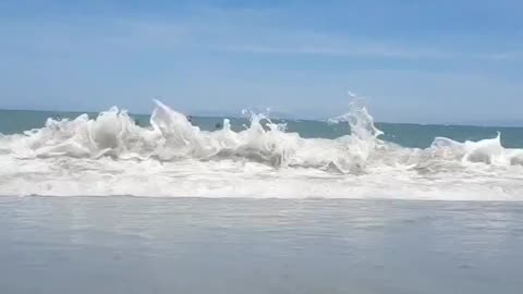 Philippine waves and Filipino Beer.