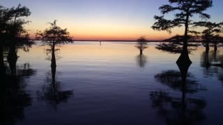 Louisiana Tranquil Waters