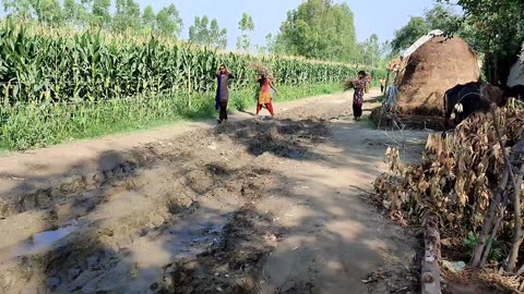 Village Lifel Peaceful Village life In India | Farming In Uttar Pradesh Real Life | Daily Routine