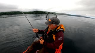 Pacific Halibut from a Kayak
