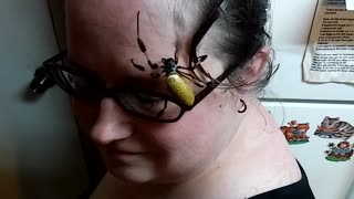 Brave Woman Lets Huge Spider Crawl Over Her Face, Says It ‘Tickles Very Much’