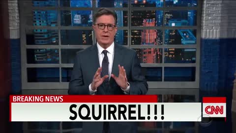 T____ Confuses Hannity With Wild Mar-a-Lago Excuses _ Breaking Squirrel News