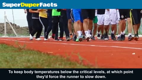 How Does Running a Marathon Affect the Human Body?#Factvideo1