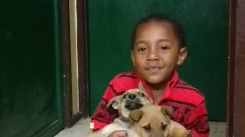 3 year old Mike introduce his cute puppies to me.