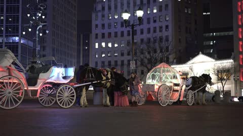 Horse and carriage rides in downtown square of Indianapolis