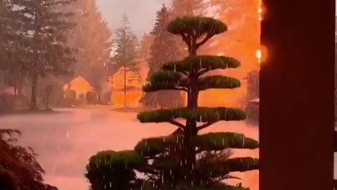 Lightning Hits Nearby Tree