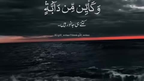 beautiful Quraan recitation by Qari Musaad
