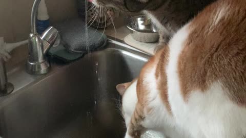 Lucky shares a drink with his little sister Keke