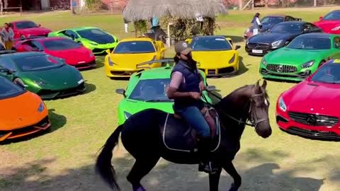 Exotic cars and Great Marwari Horse