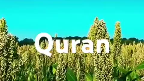 Quran translation