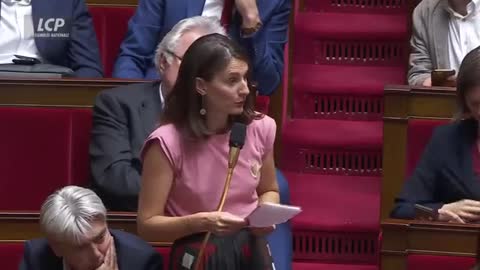 Excellente d'Elsa Faucillon, Députée PCF C’en est fini de cette assemblée de Playmobil