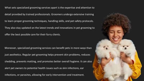 Pampered Persian: Best Spa Services — The Pets Workshop