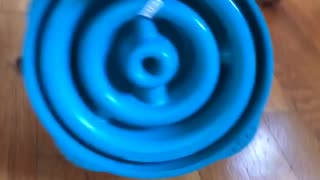 Black and white puppy carries blue bowl under wooden table