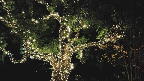 Tokyo Midtown Garden Plaza Illumination, Roppongi, Dec 2020 - 東京ミッドタウンガーデンプラザイルミネーション、六本木、2020年12月