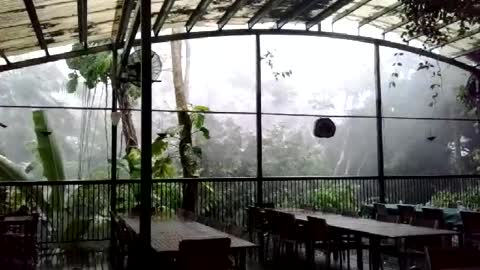 Casually Getting Cyclonic Winds At Work In Kuranda
