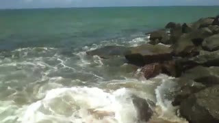 The rough waves of the sea hit the rocks hard on the beach [Nature & Animals]