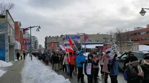 Ottawa Freedom March - January 22, 2022