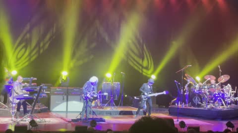 Toto - Little Wing - Clearwater, Fl - 5/8/24
