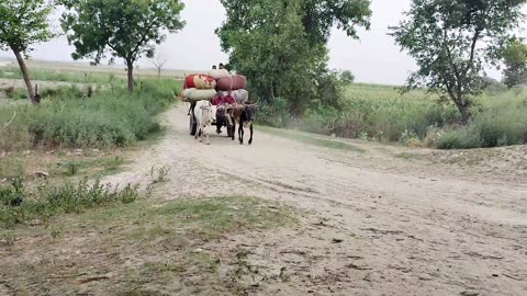 How Do Poor People Eat Food In UP India {} Man Life In Uttar Pradesh India #VillageRuralLife