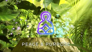 Peace & Purpose - Rays of Resilience