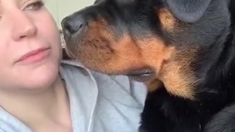 Imitate Your Dog and See How They'll React
