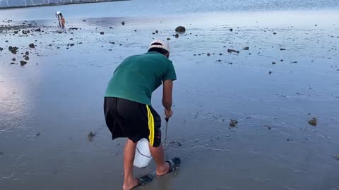 Clam hunting in the peaceful countryside