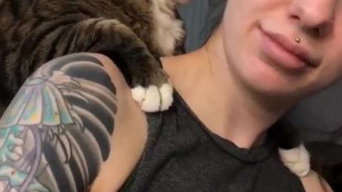 This cat really loves to give hugs