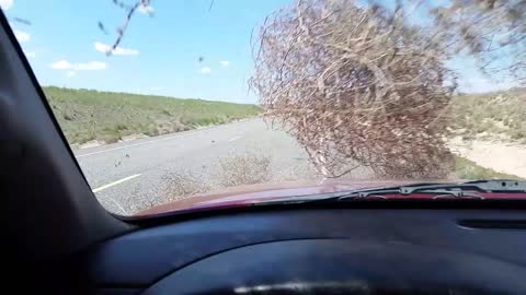 Tumbleweed Dust Devil