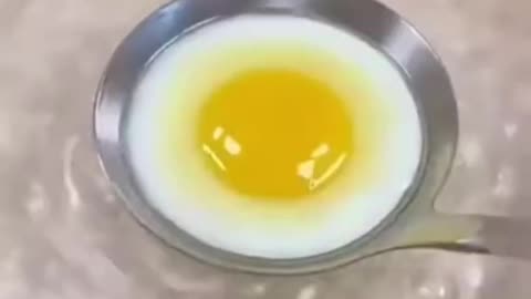 Boiled egg yolk in water
