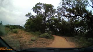 Crossing Kangaroo Clips Windshield