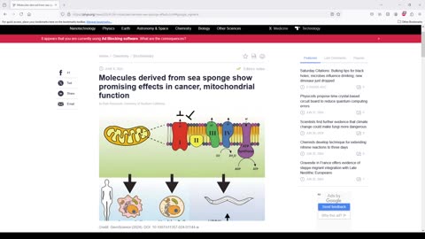 Sea Sponge Molecules shows promising effects in Cancer Treatment