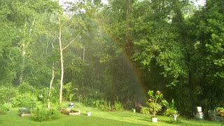 Rainbow sun shower