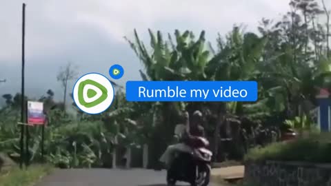 recklessly ride motorbikes with idiots