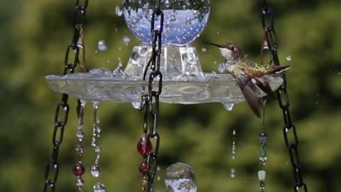 Hummingbird feeder, Bird Feeder from Water Bottle, Best Technic for Water Feeder.
