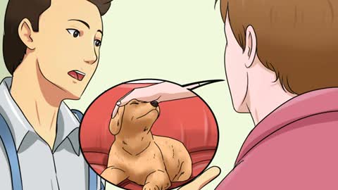 10 TIPS TO CHOICE A HEALTHY PUPPY