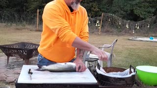 How to clean a catfish