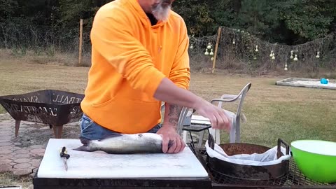 How to clean a catfish