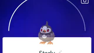 Pokémon GO-Shadow Starly