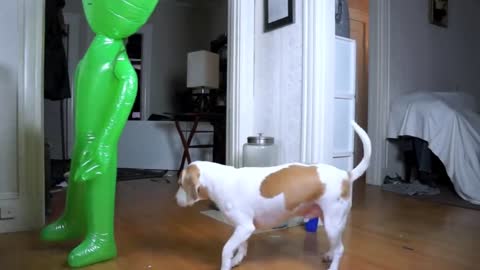 Green Alien scarring cute dog